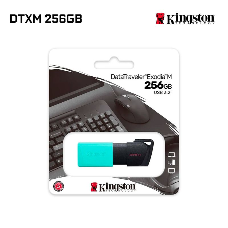 KINGSTON - Memoria Kingston USB DTXM 256Gb 3.2 Negro/Verde
