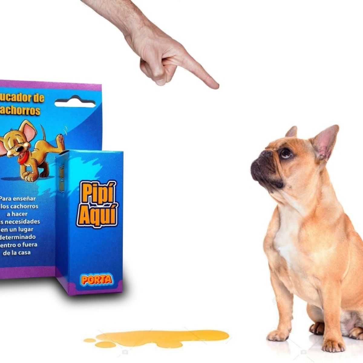 GENERICO - Pipi Aqui Educador Para Perros