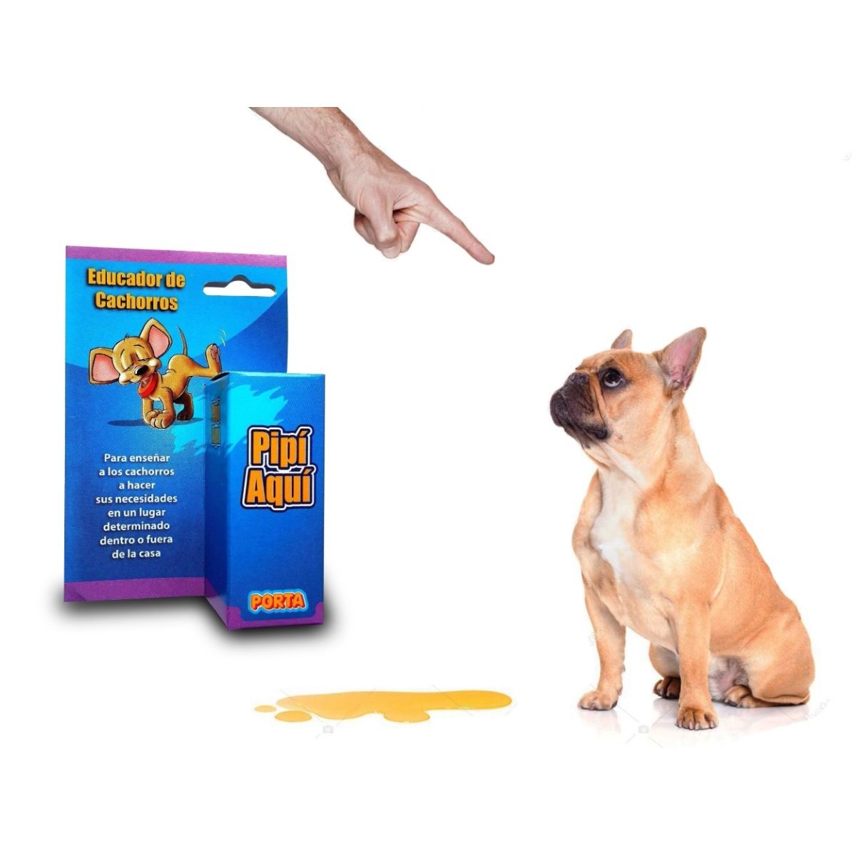 GENERICO - Pipi Aqui Educador Para Perros