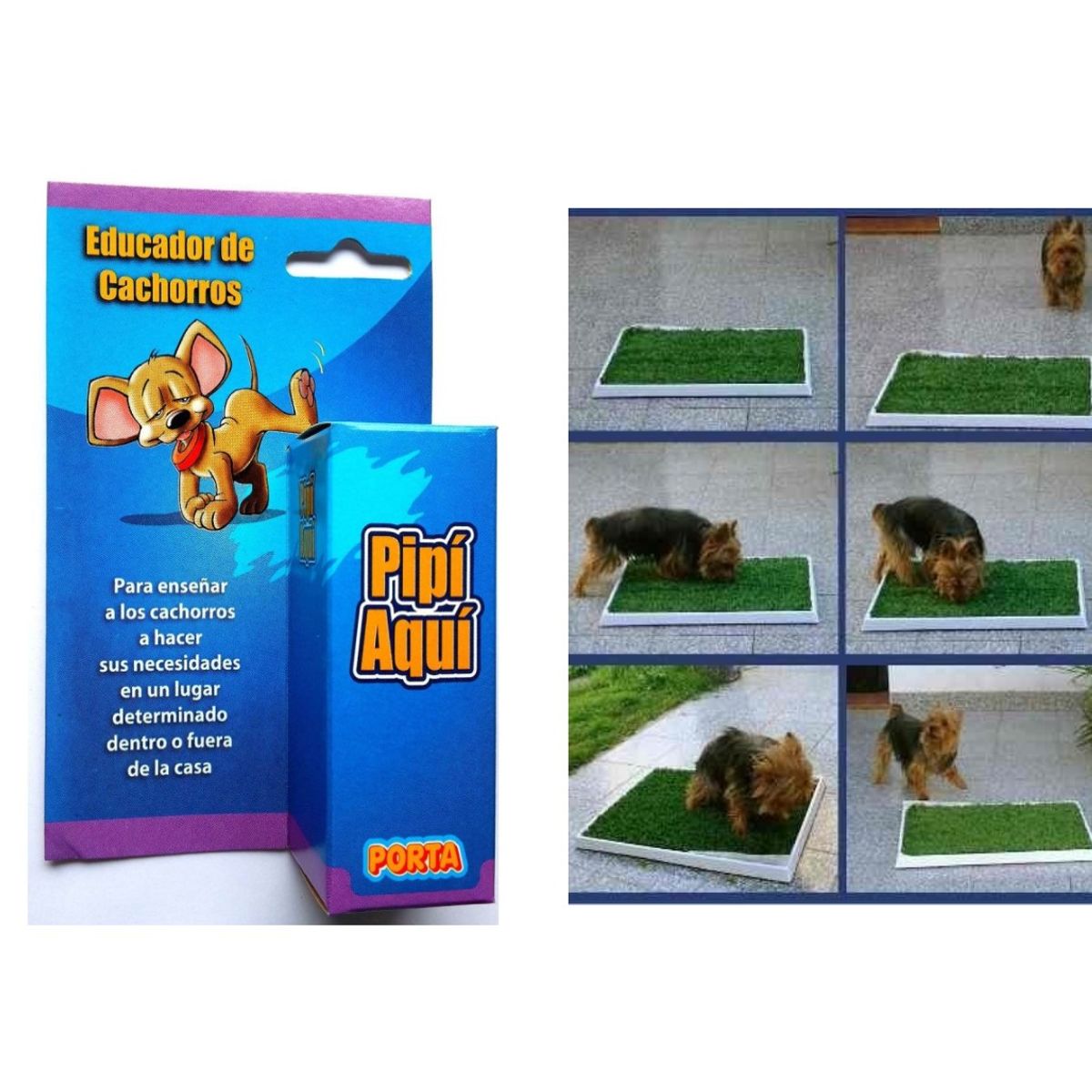 GENERICO - Pipi Aqui Educador Para Perros