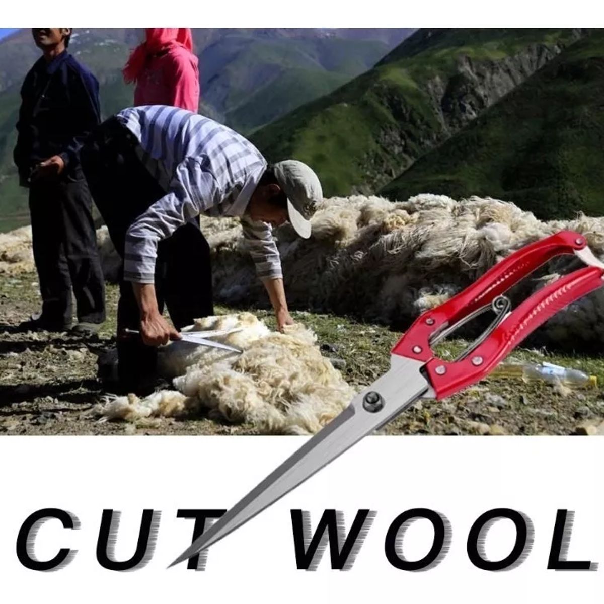 GENERICO - ESQUILADORA MANUAL EN PUNTA TIJERA PARA ALPACAS OVEJAS