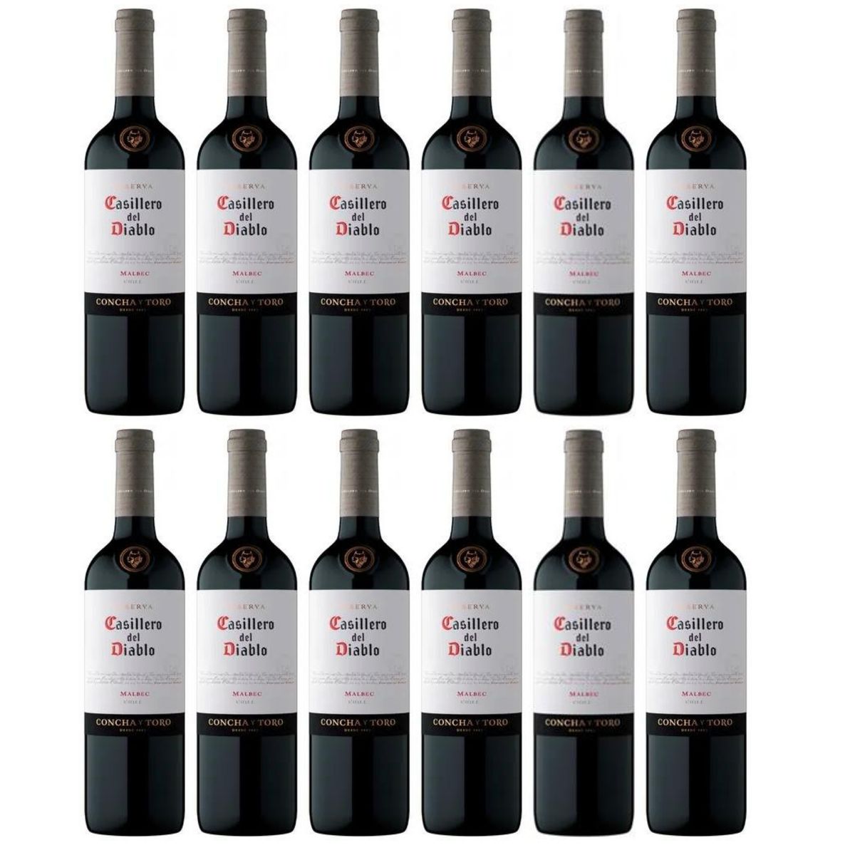 CASILLERO DEL DIABLO - Vino Casillero del Diablo Malbec 750ml - 12 UND