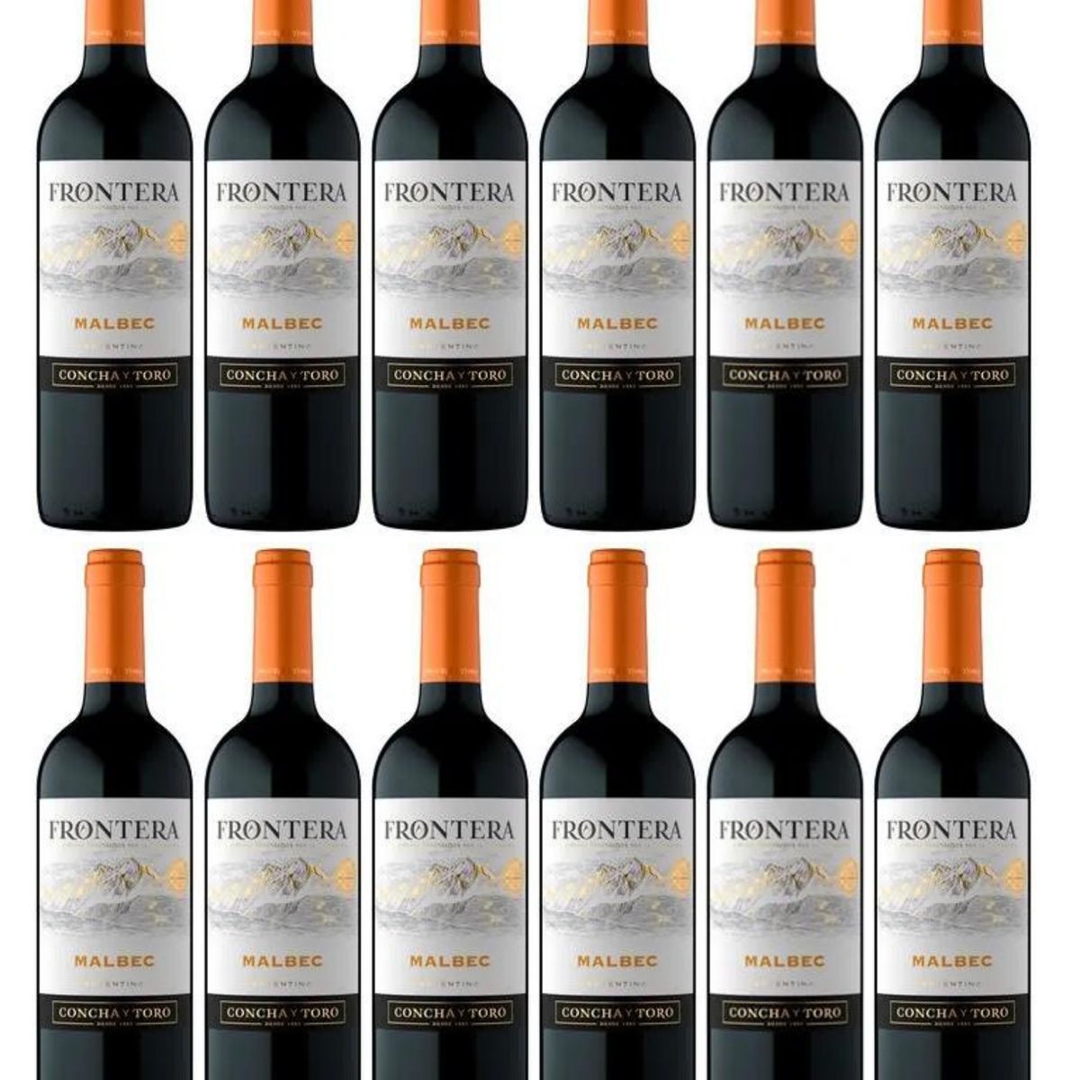 GENERICO - Vino Tinto Frontera Malbec 750ml - 12 UND