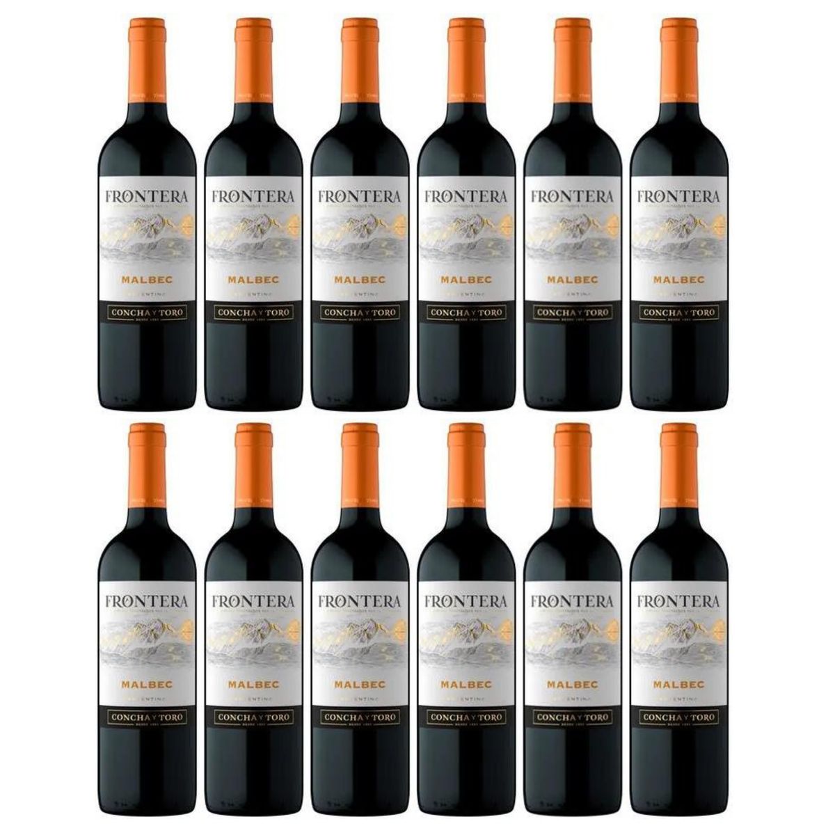 GENERICO - Vino Tinto Frontera Malbec 750ml - 12 UND