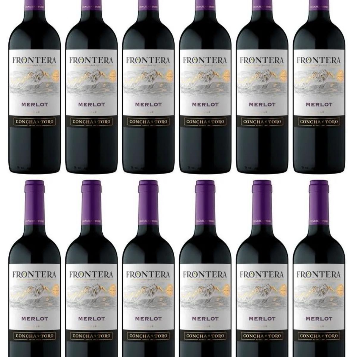 GENERICO - Vino Tinto Frontera Merlot 750ml - 12 UND