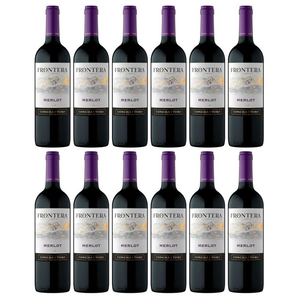 GENERICO - Vino Tinto Frontera Merlot 750ml - 12 UND