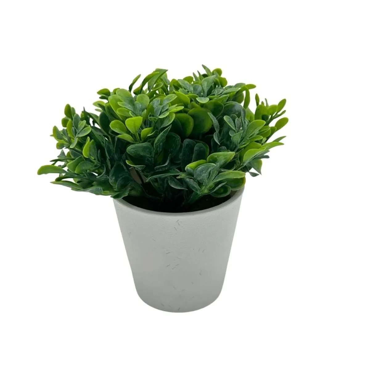 FLORIPA - Arreglo de Follaje Tipo Ruda de 15cm 00129-1 FLORIPASTORE