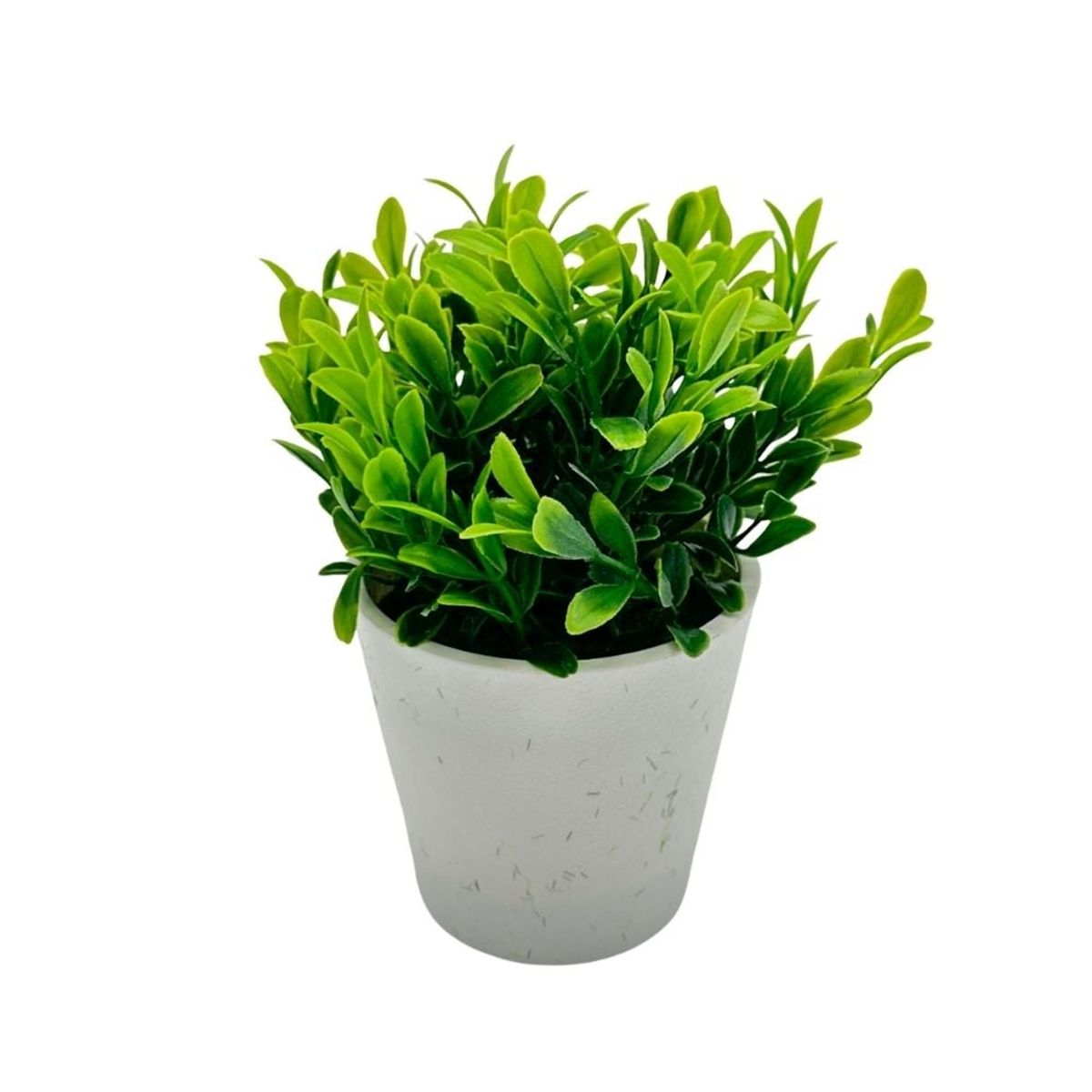 FLORIPA - Arreglo de Eucalipto 00130-1 FLORIPASTORE