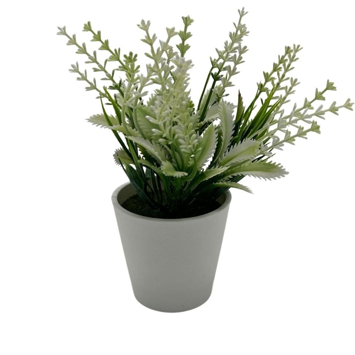 FLORIPA - Arreglo de Lavanda de 20cm 00135-A FLORIPASTORE