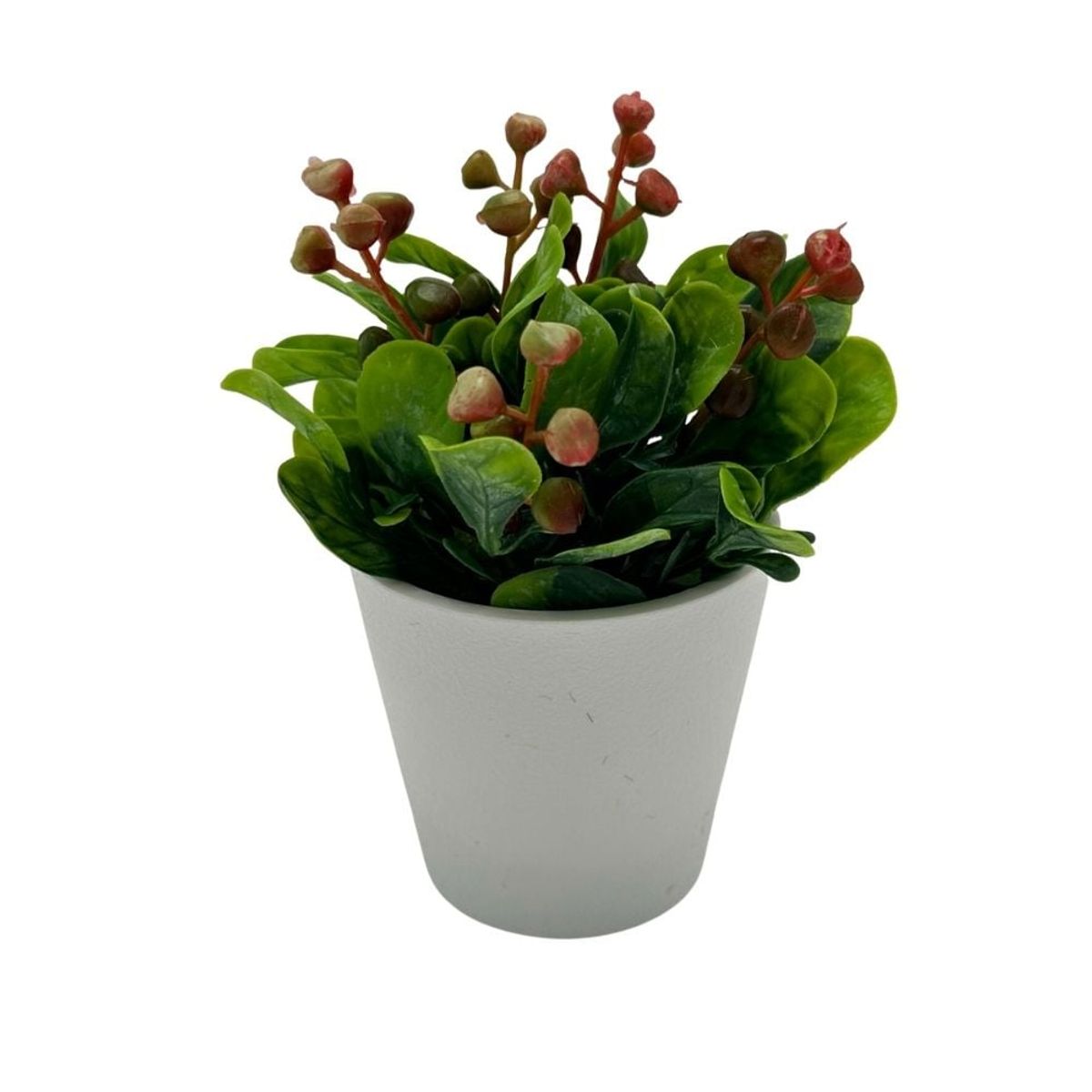 FLORIPA - Arreglo de Mora de 15cm 00144-RJ FLORIPASTORE