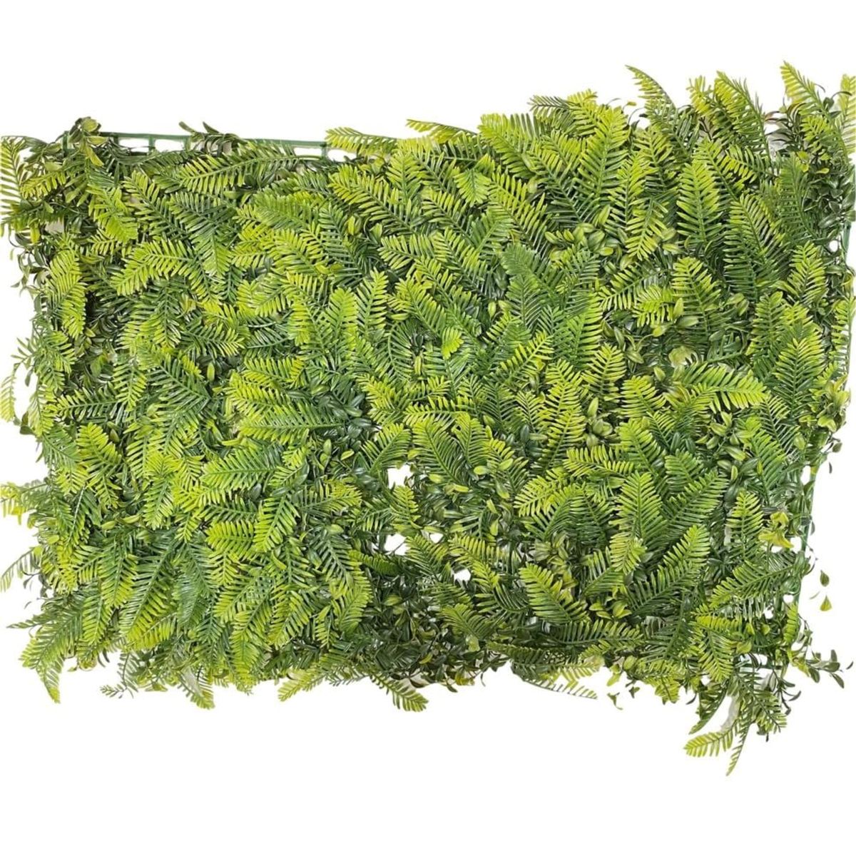 FLORIPA - Malla de Helecho de 40x60cm 8013 FLORIPASTORE