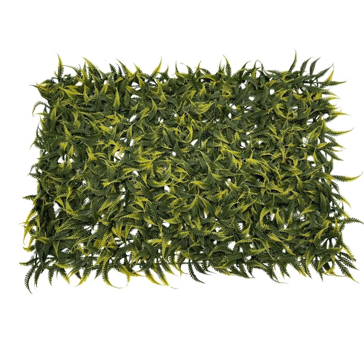 FLORIPA - Malla De Helechos De 40X60Cm BG231524 FLORIPASTORE