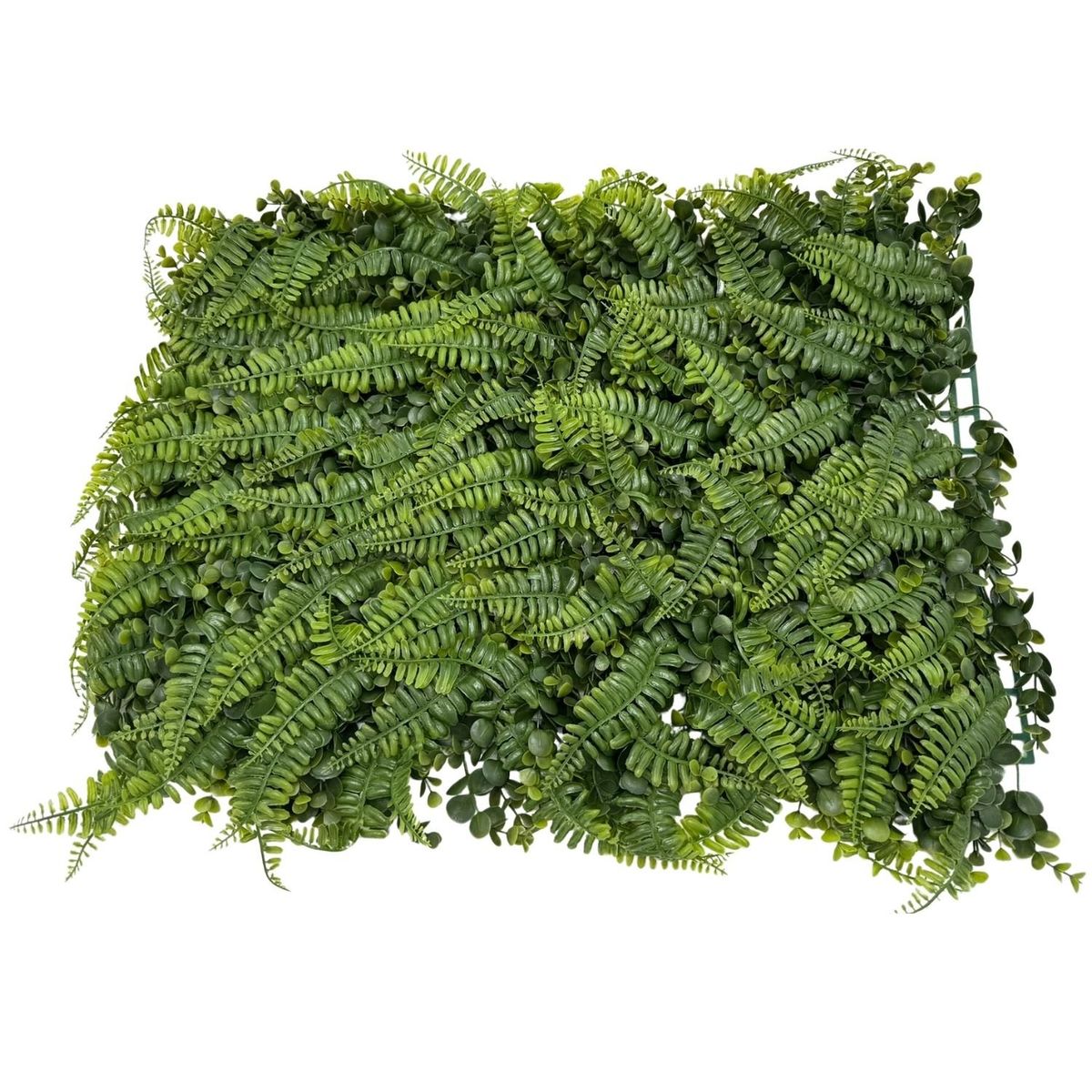 FLORIPA - Malla De HelechosEucalipto De 40X60Cm FLORIPASTORE