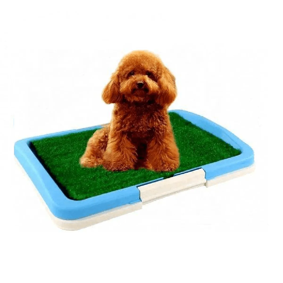 GENERICO - Baño Portátil Grande Para Mascota Grass Sintetico 63x47cm -celeste