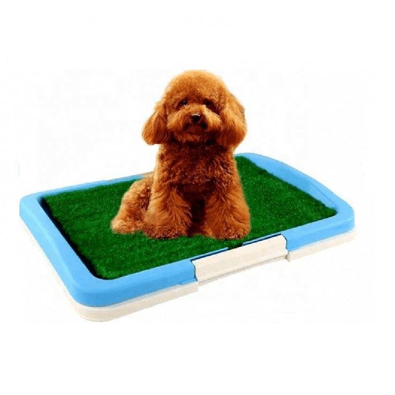 GENERICO - Baño Portátil Grande Para Mascota Grass Sintetico 63x47cm -celeste