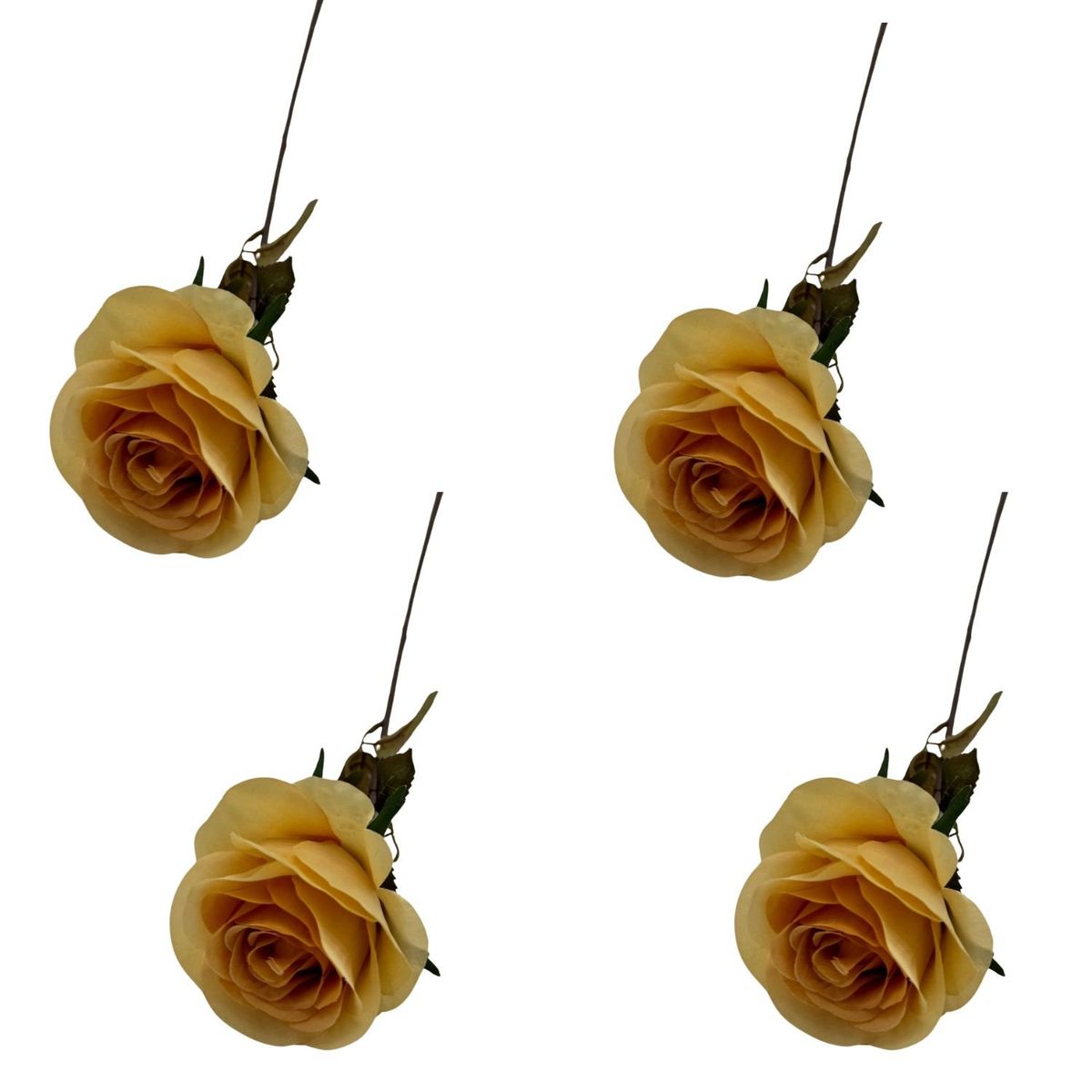 FLORIPA - Pack De 4 Rosas Unitarias BG310045-AM FLORIPASTORE