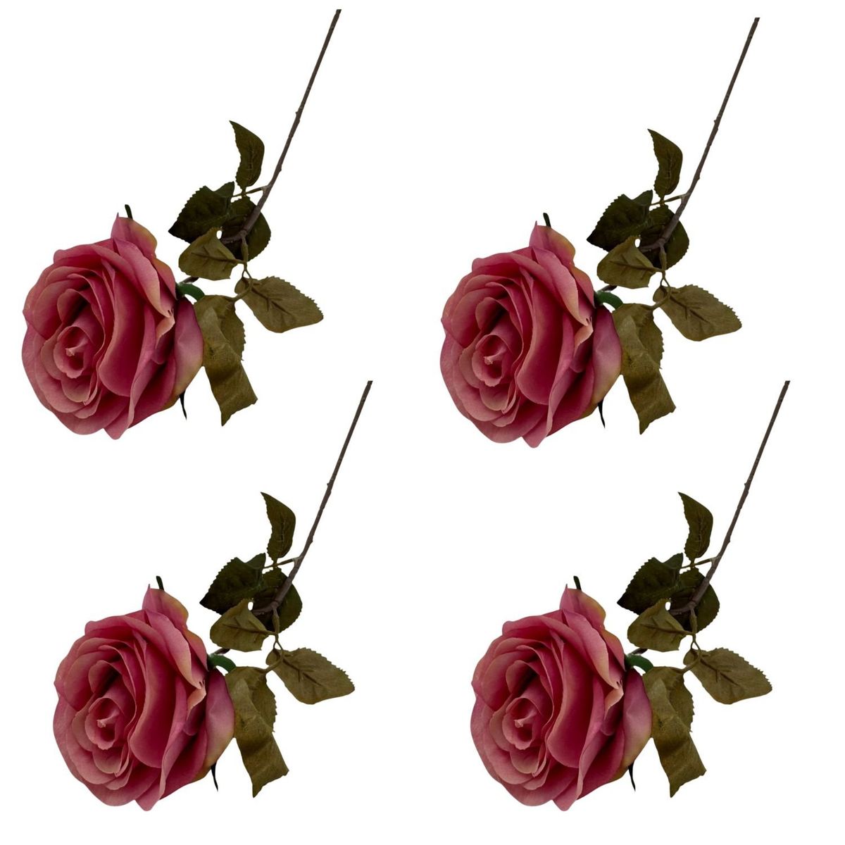FLORIPA - Pack De 4 Rosas Unitarias BG310045-ROS1 FLORIPASTORE