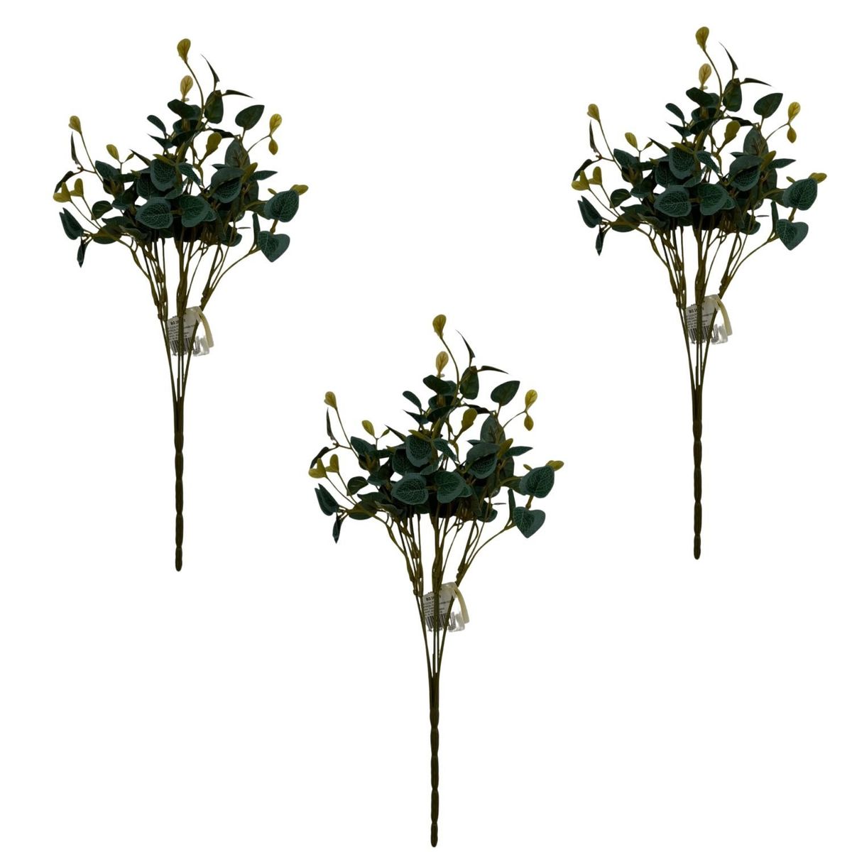 FLORIPA - Pack De 3 Follajes Tipo Eucalipto BG305170 FLORIPASTORE