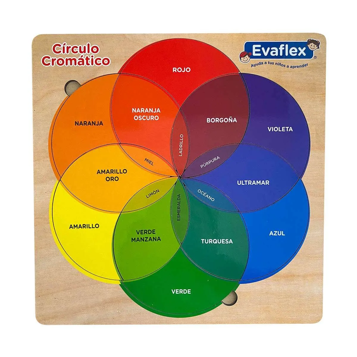 EVAFLEX - Circulo Cromático Evaflex