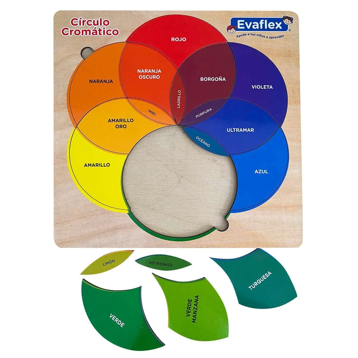 EVAFLEX - Circulo Cromático Evaflex