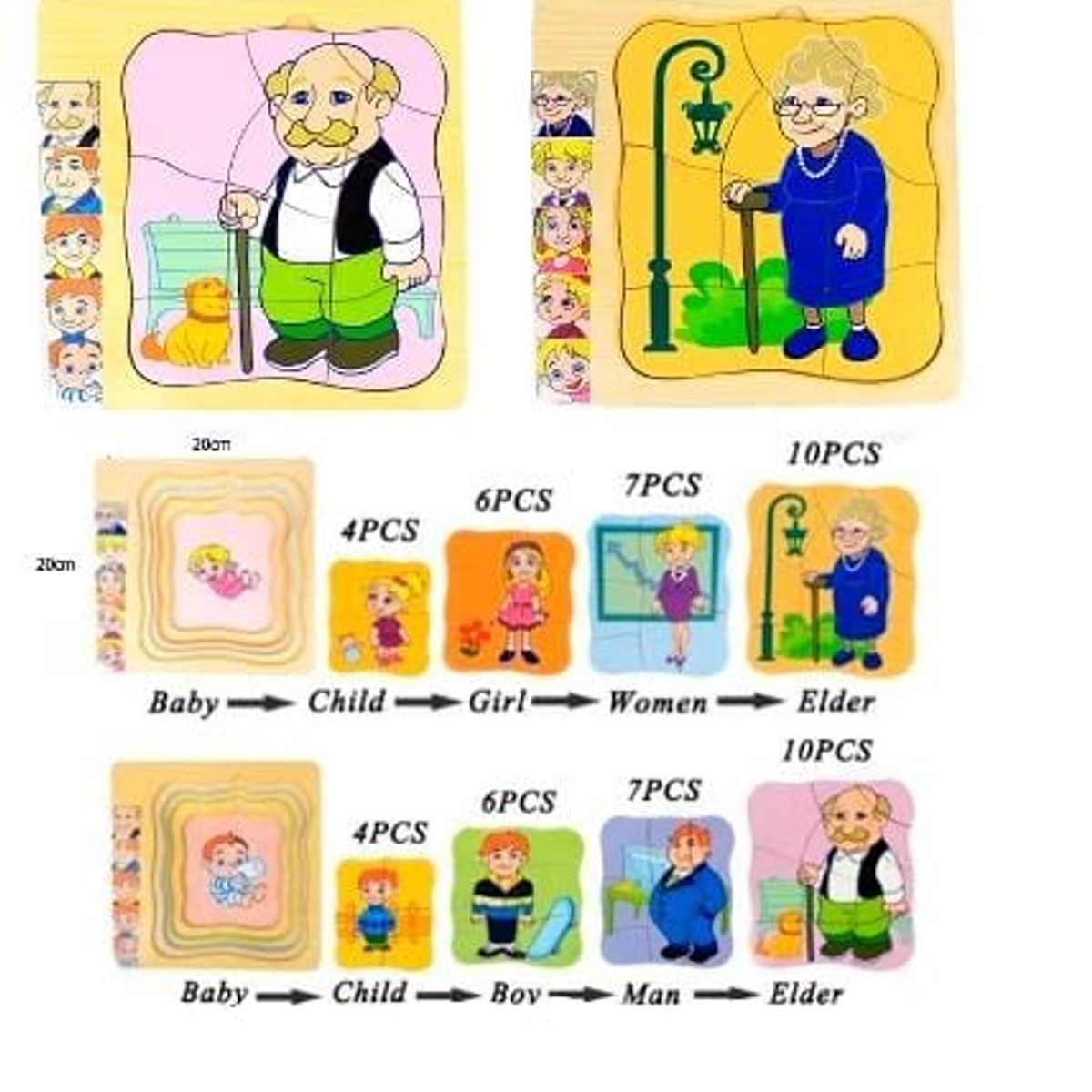 GENERICO - 5 en 1 Rompecabezas ciclo de vida