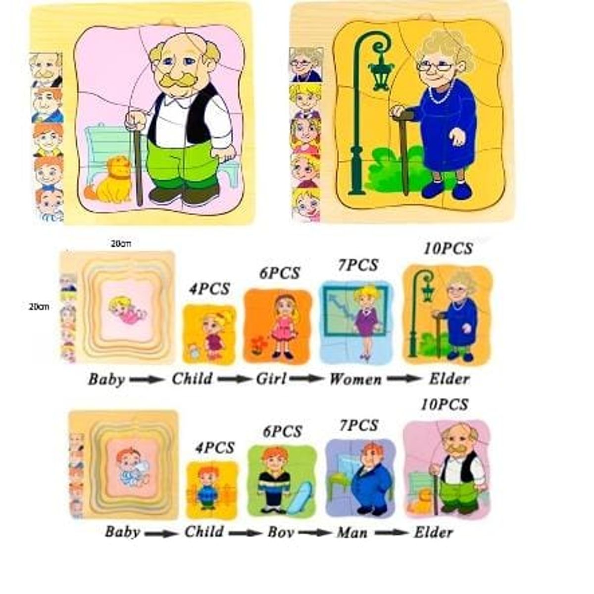 GENERICO - 5 en 1 Rompecabezas ciclo de vida