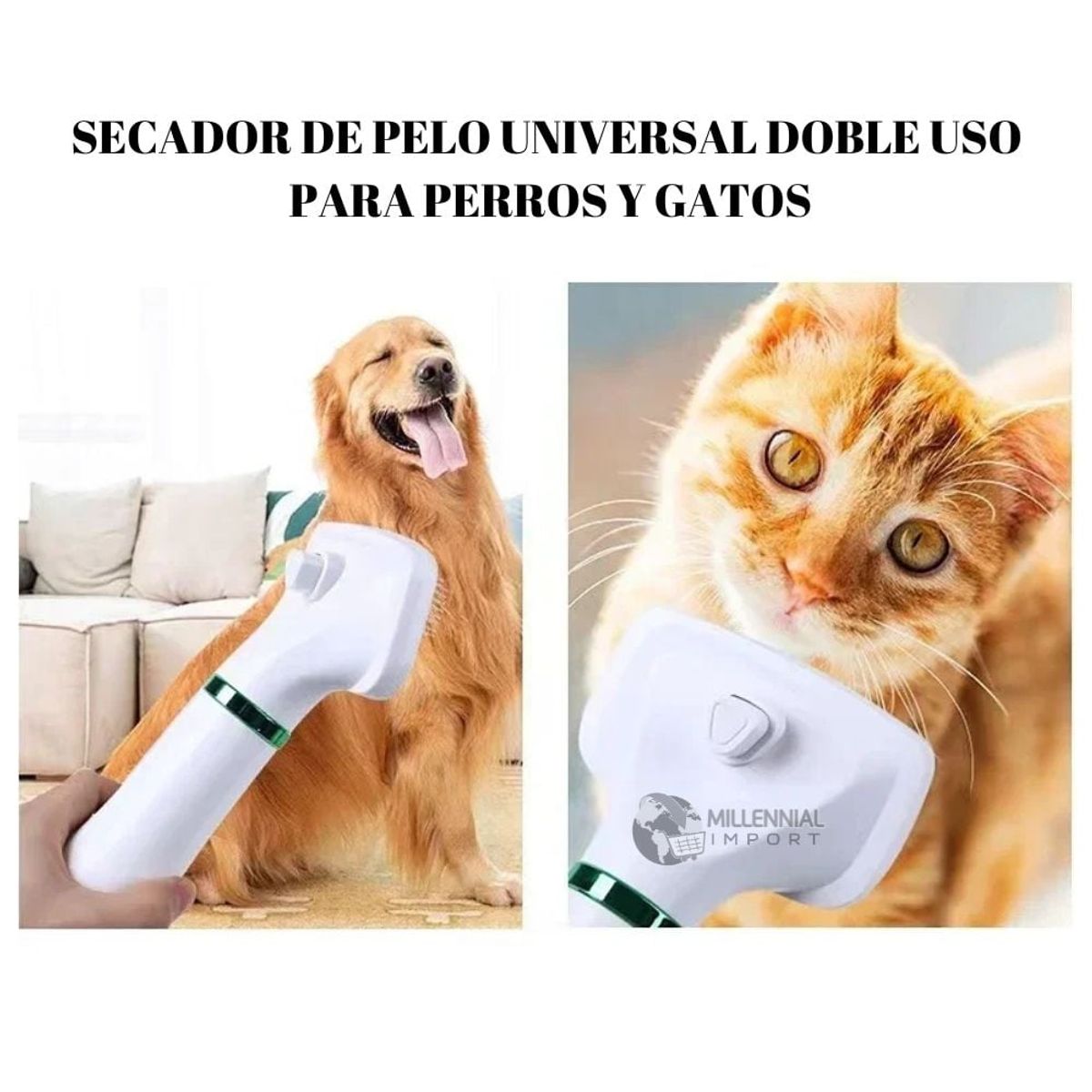 GENERICO - Cepillo Eléctrico y Secador para Mascotas 2 en 1