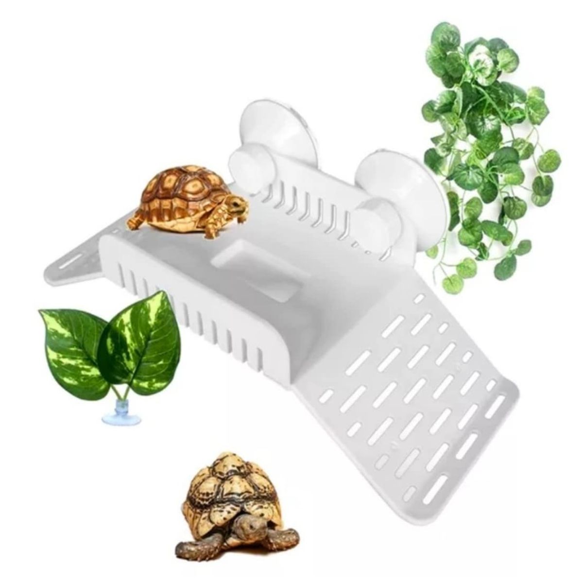 GENERICO - Plataforma con rampa para tortugas semi acuática