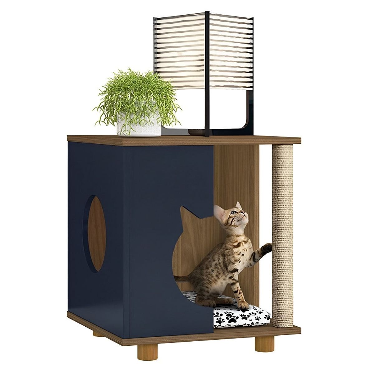 73 EXPERIENCE - Mesa Lateral Mascota Jalaci - Plomo & Gales - 73 Experience