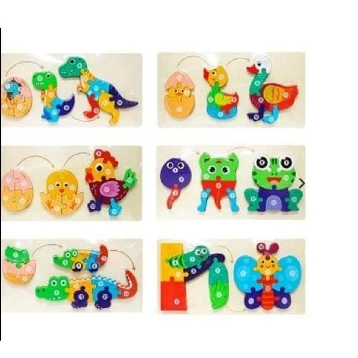 GENERICO - Rompecabezas evolución ciclo de vida animal