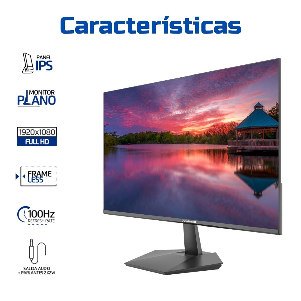 BOWMANN - Monitor 22" LED Full HD 100 Hz IPS Slim Sin Bordes con Parlantes Incorporados 1920x1080p BW-22MF