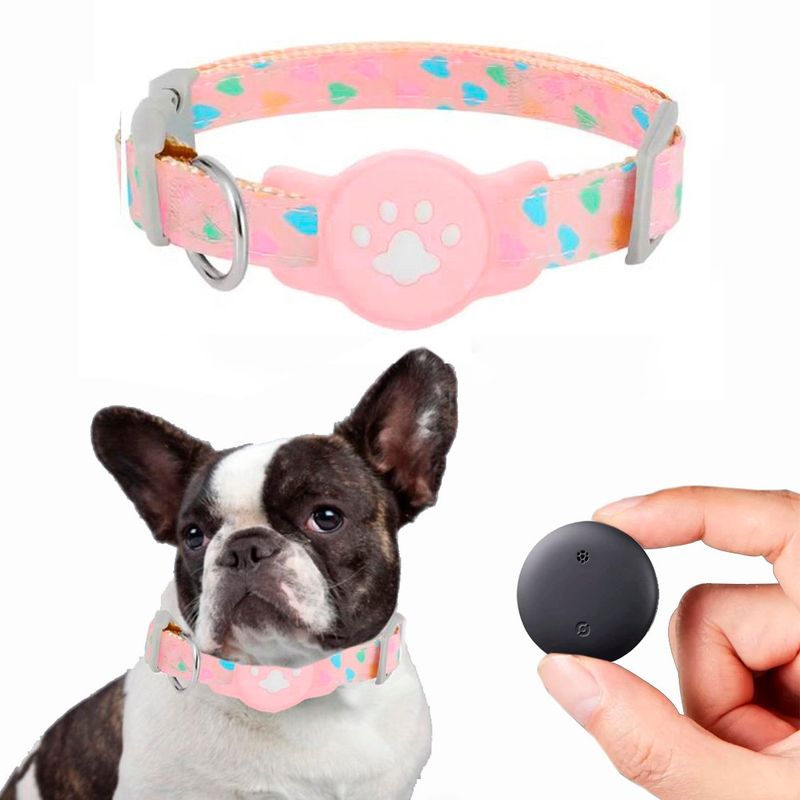AIPHONE - Collar para Perro con GPS con batería incluida para Iphone
