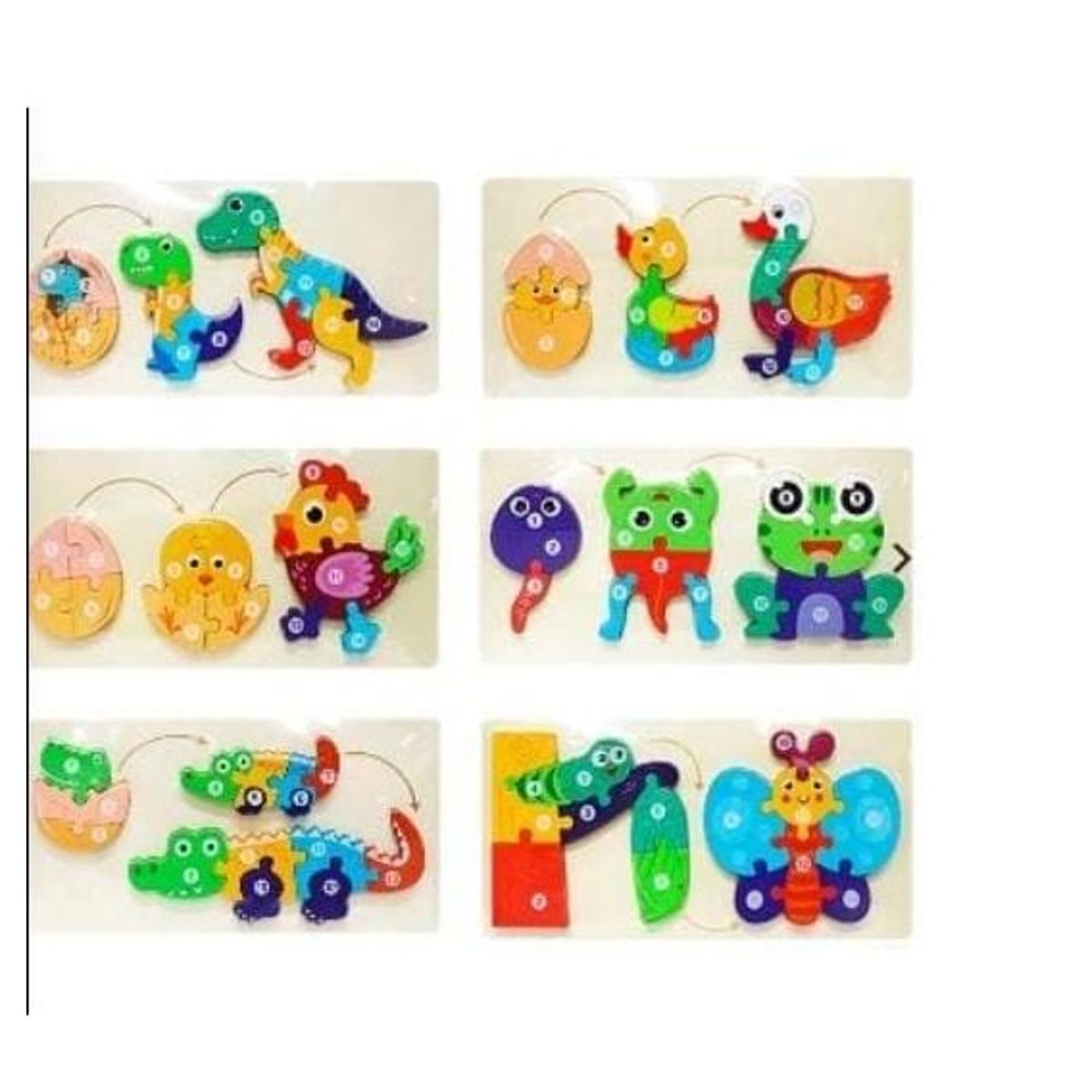 GENERICO - Rompecabezas evolución ciclo de vida animal