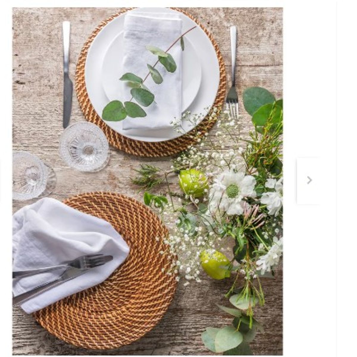 GENERICO - plato ratan pack tendencia 2025