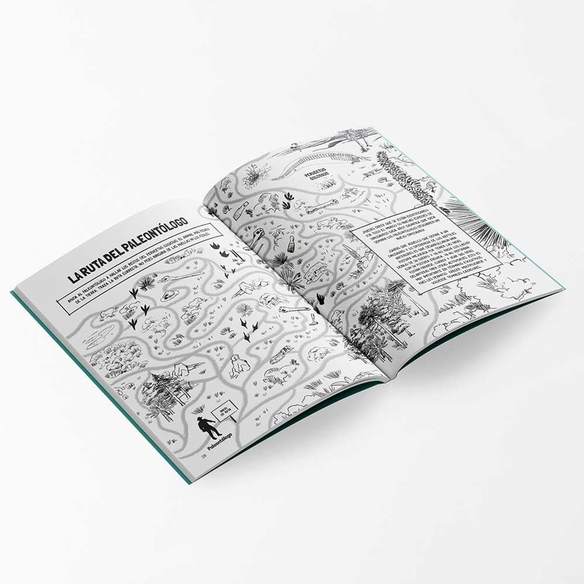 PICHONCITO - Libro de actividades Dinosaurios y animales prehistóricos del Perú