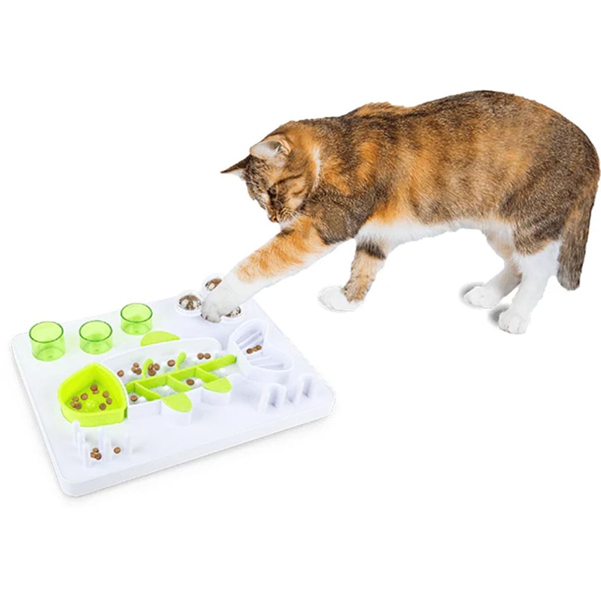 ALL FOR PAWS - Rompecabezas de pez interactivo  AFP