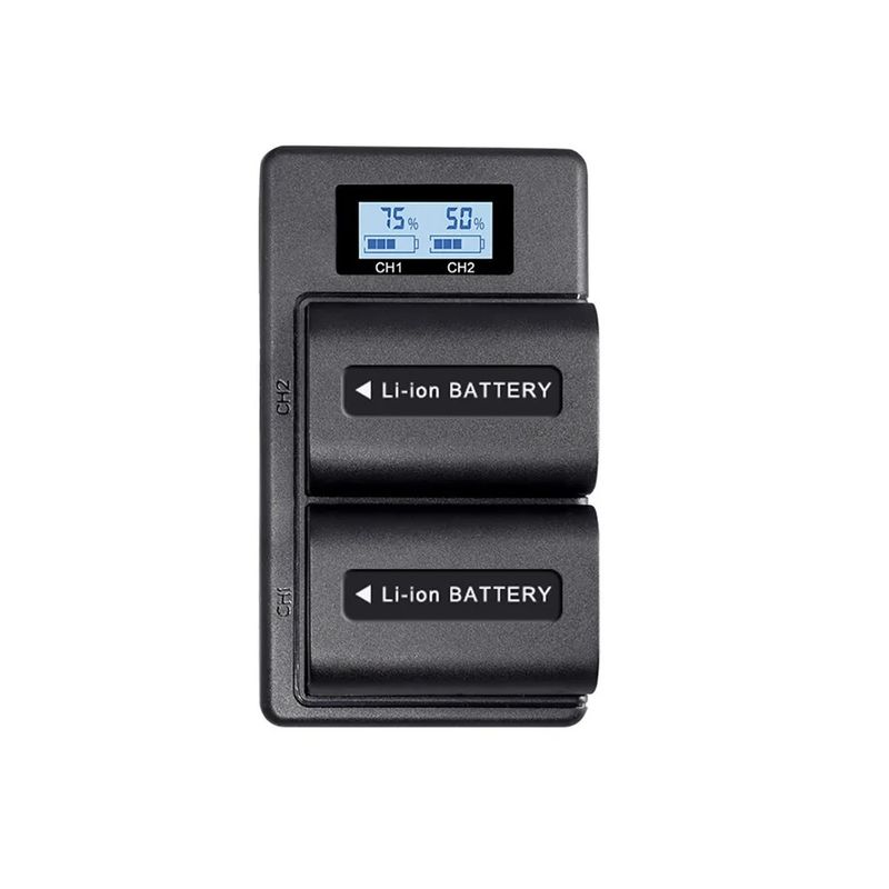 GENERICO - Cargador NP-FV100 Doble con Pantalla