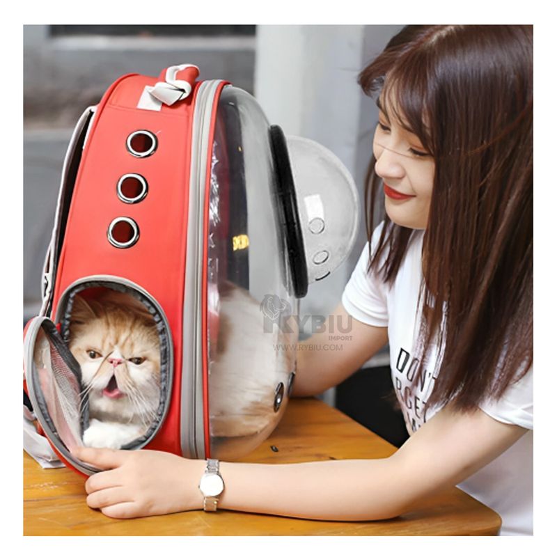 RYBIU IMPORT - Mochila Amplia y Innovadora de Color Rojo Y+Regalo Stickers