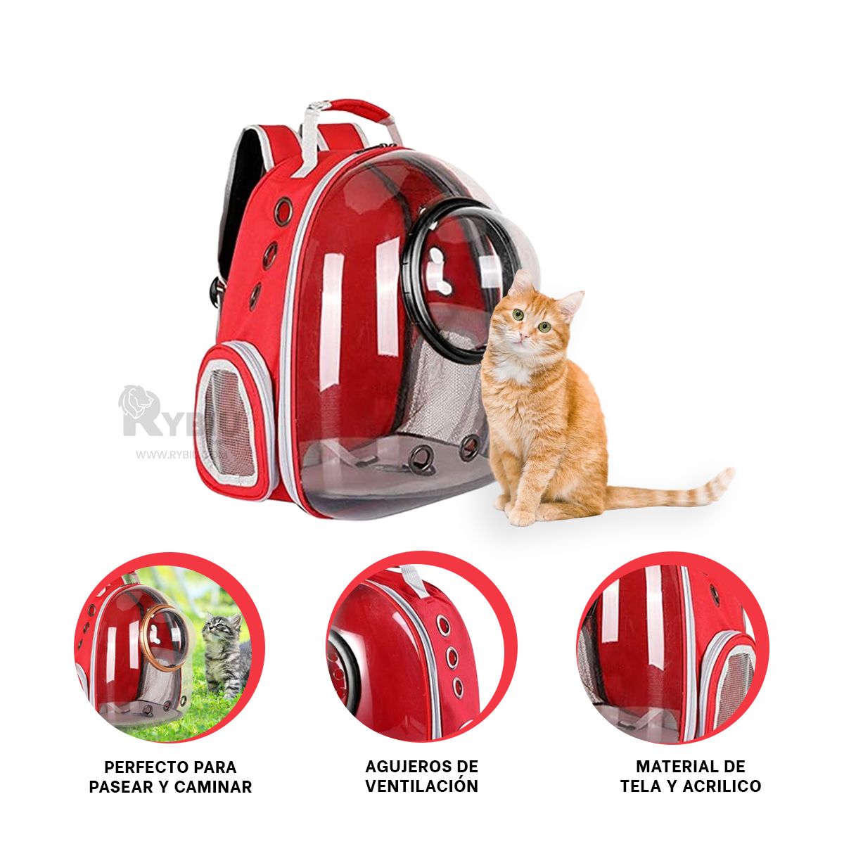 GENERICO - Maleta de Gatos Color Rojo Y+Banderitas Adhesivas