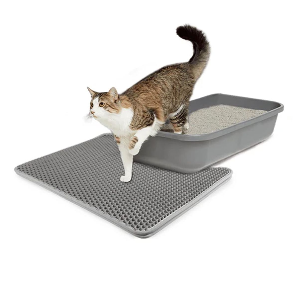 ALL FOR PAWS - Salida de arenero afp - S