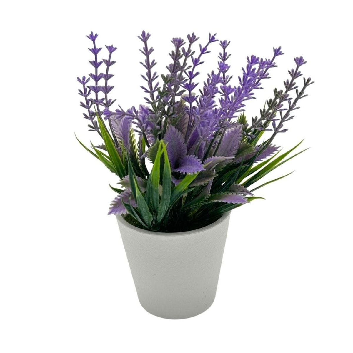 FLORIPA - Arreglo de Lavanda de 20cm 00135-B FLORIPASTORE