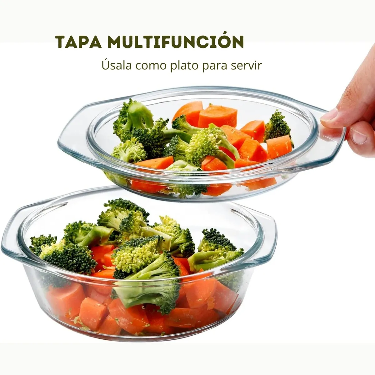 PENTHA - Cacerola con Tapa de Vidrio 1 . 5L Apto Frío y Calor