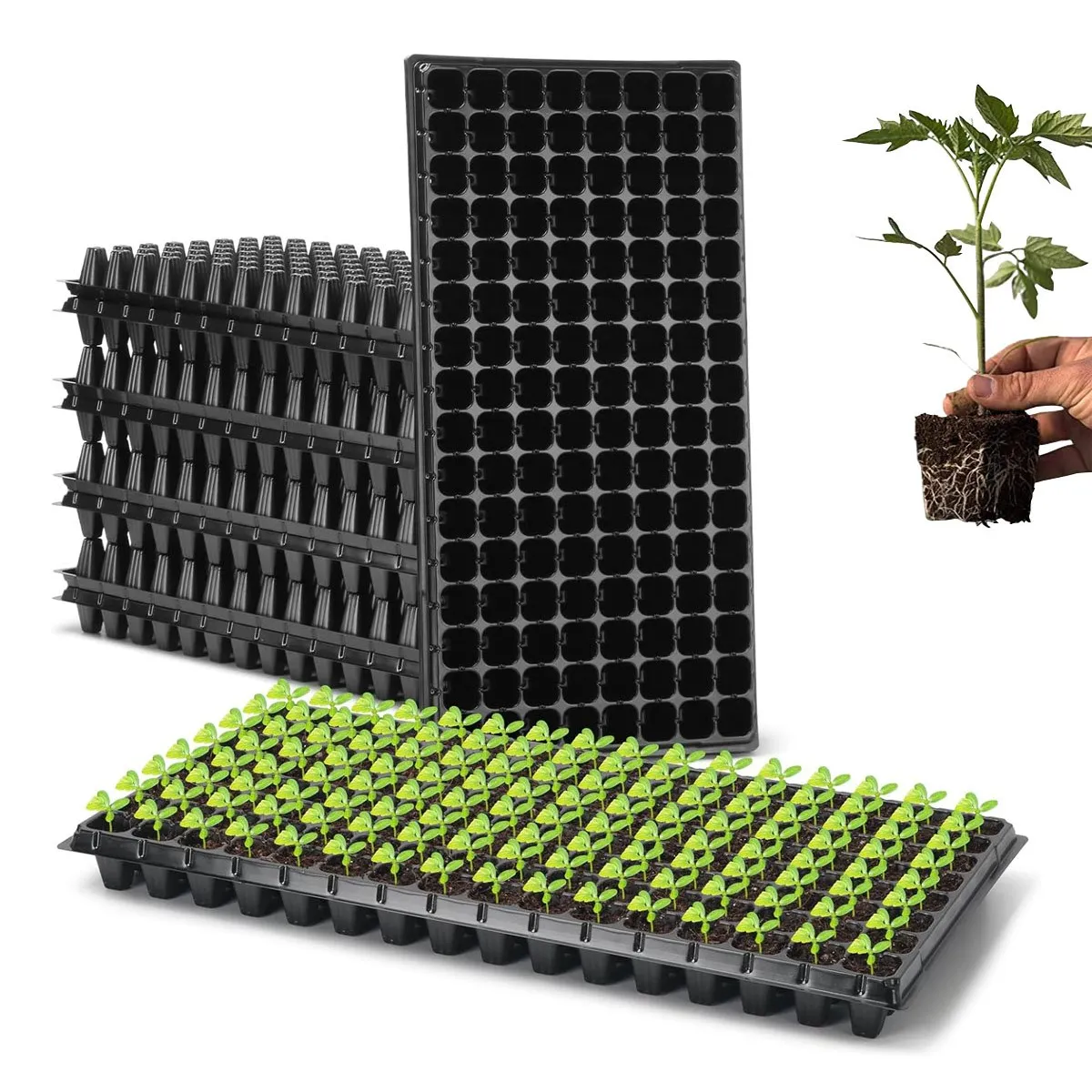 OEM - Semillero de germinación hidropónico 128 celtas