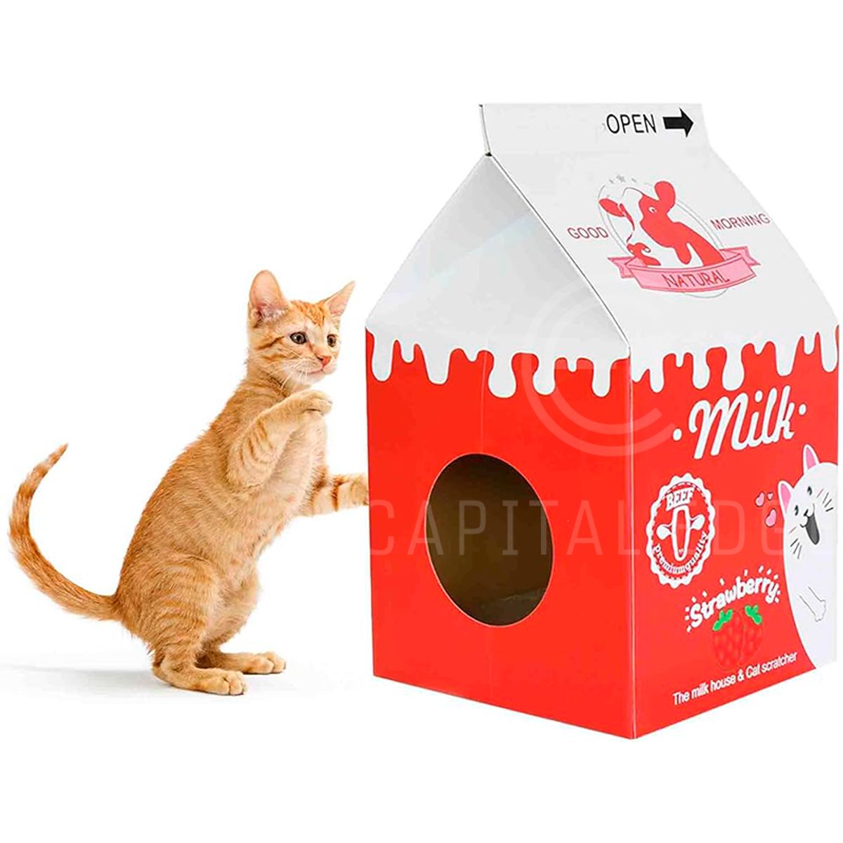 GENERICO - Rascador Premium Caja De Leche