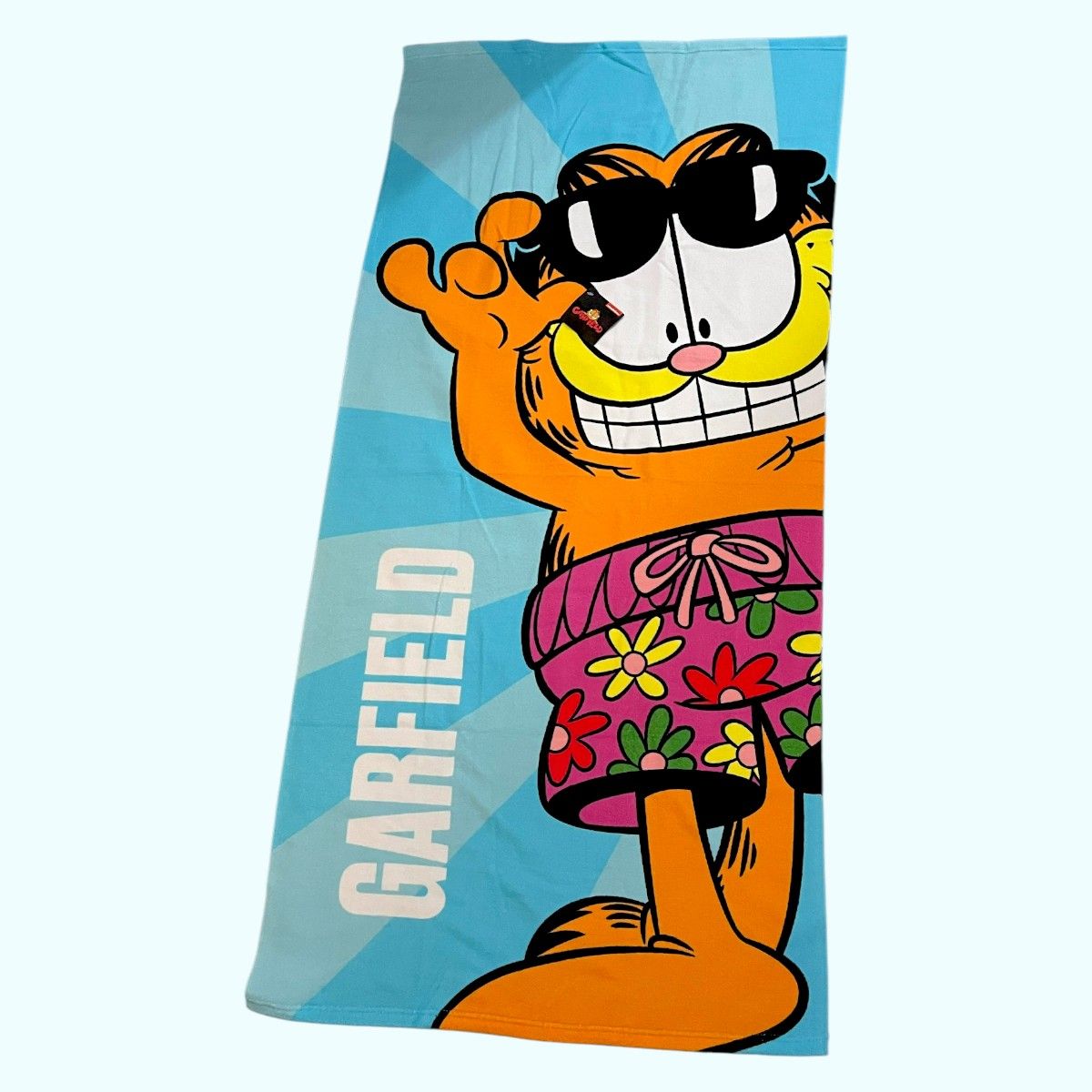 ROMAX - Toalla microfibra dibujo Garfield 1
