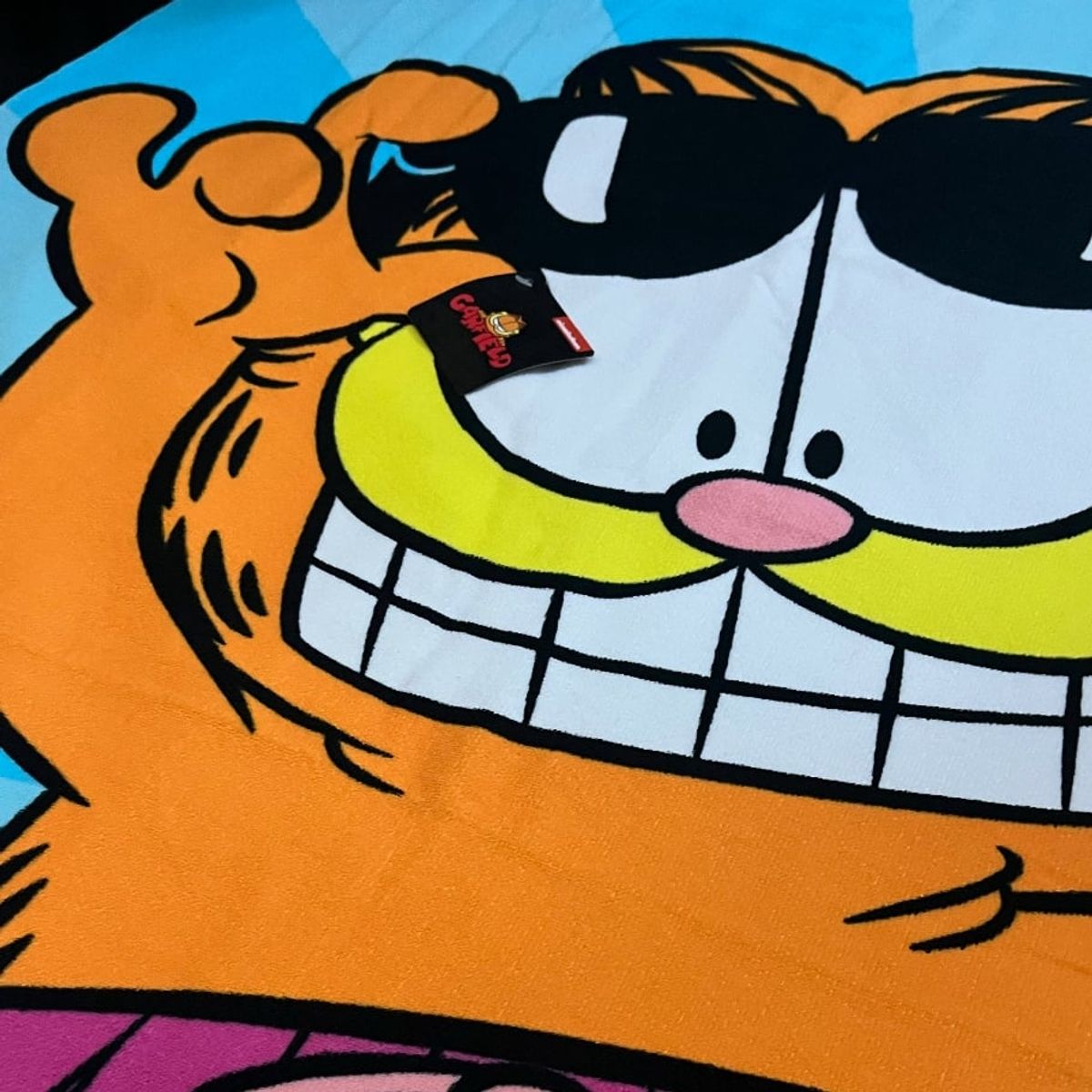 ROMAX - Toalla microfibra dibujo Garfield 1