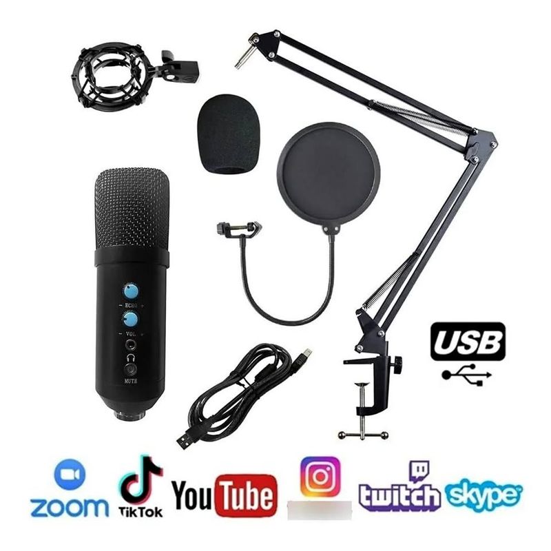 PREMIUM - Microfono Condensador Profesional Bm858tz Usb