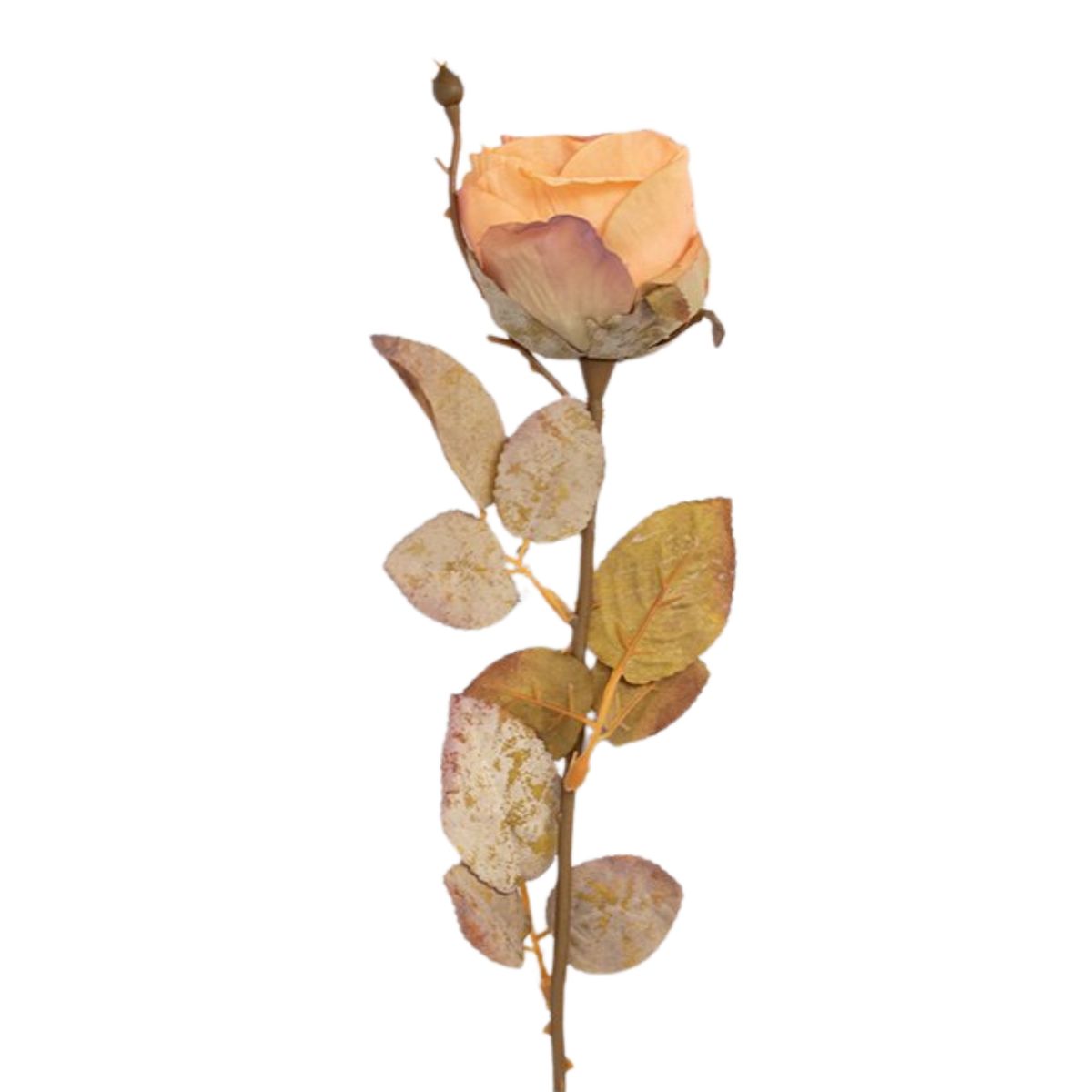 PANADECOR - Rosa en Vara Naranja Pack de 2 Panorama Hogar