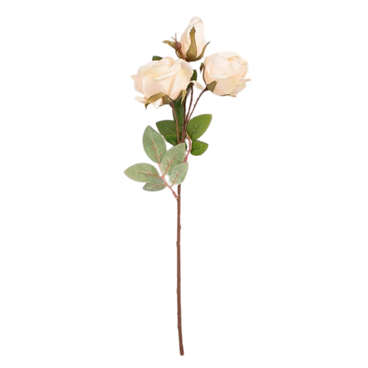 PANADECOR - Pack de 2 Rosas Beige Panorama Hogar