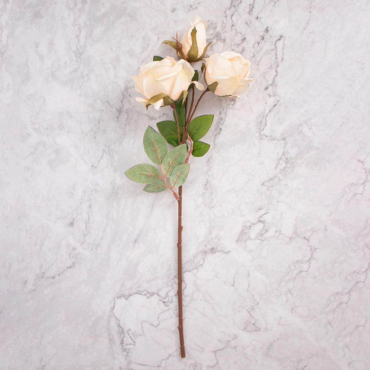 PANADECOR - Pack de 2 Rosas Beige Panorama Hogar